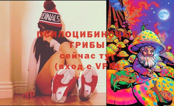 ECSTASY Магадан